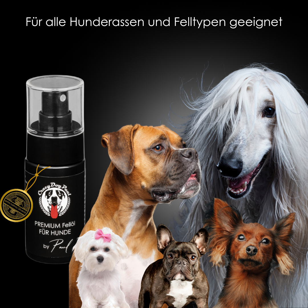 Crazydogpaul Fellpflege für Hunde für Glänzendes und geschmeidiges Fell