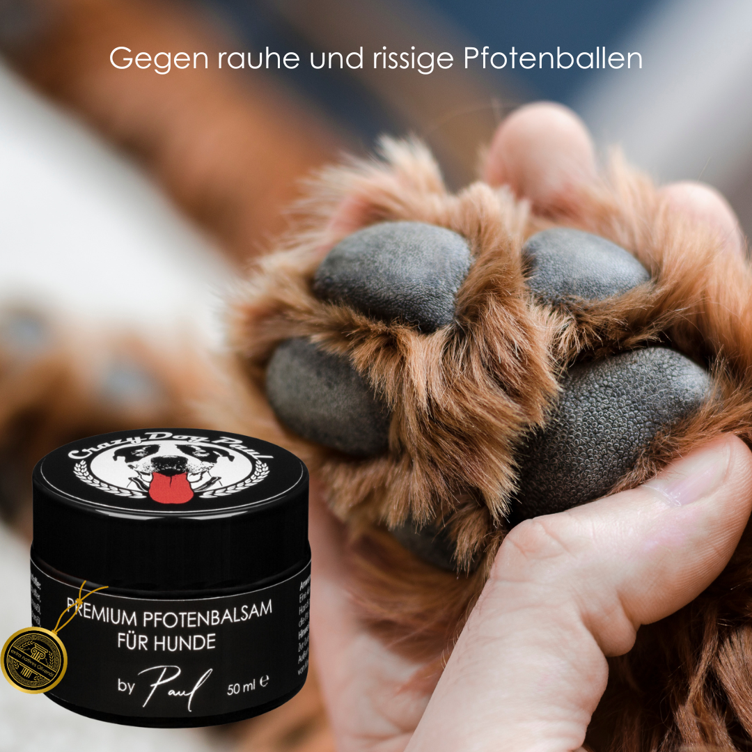 Pfotenbalsam für Hunde gegen rauhe und rissige Hundepfoten