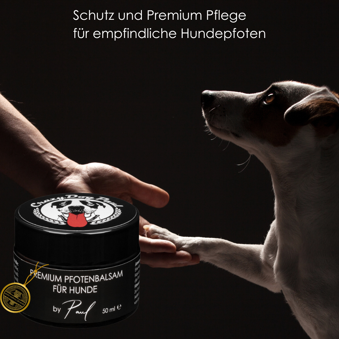 Premium Pfotenbalsam für Hunde von Crazydogpaul