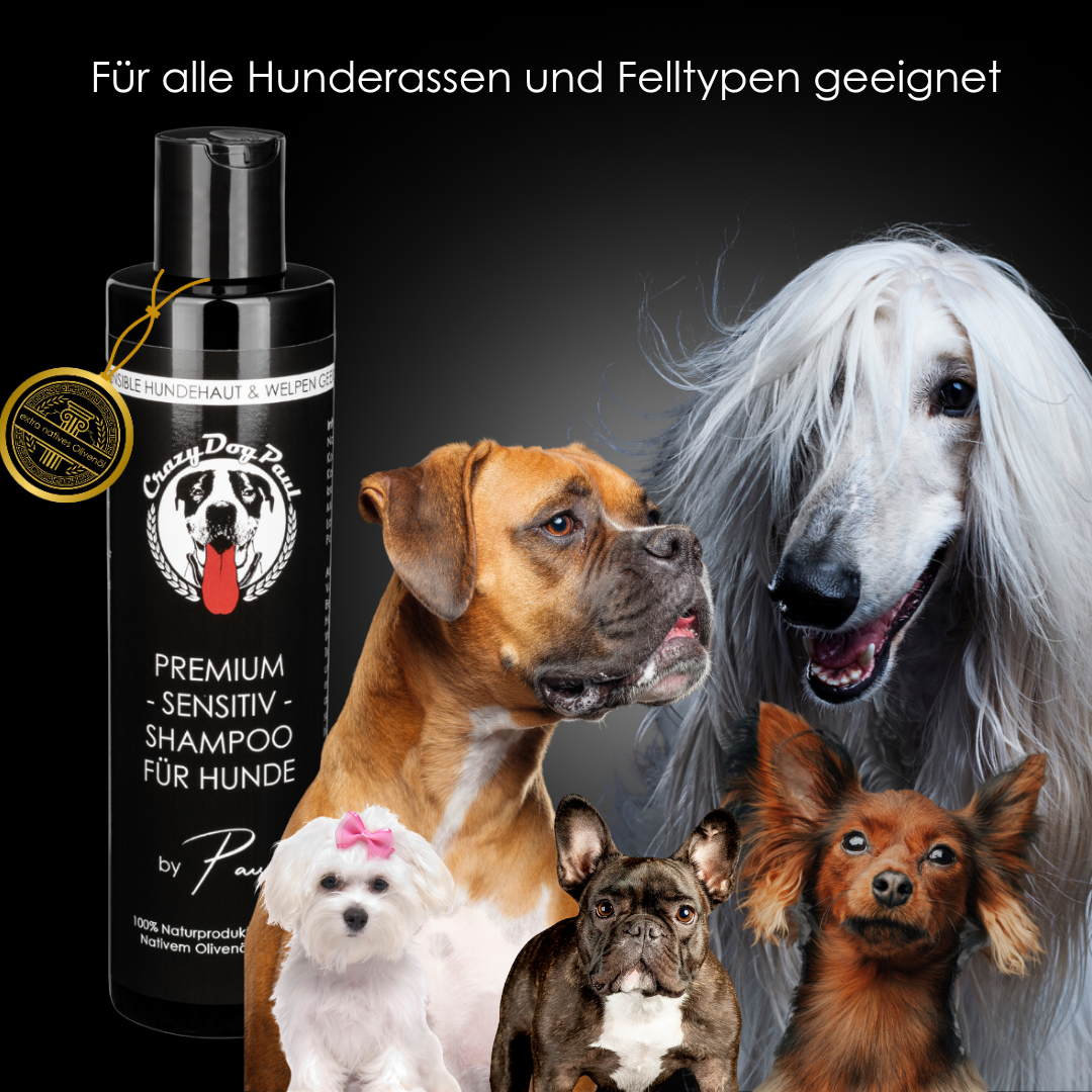 Catzydogpaul Hundeshampoo mit Olivenöl – beruhigend bei gereizter Hundehaut