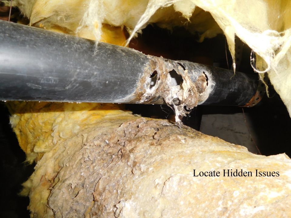 Ashco Home Inspections photos