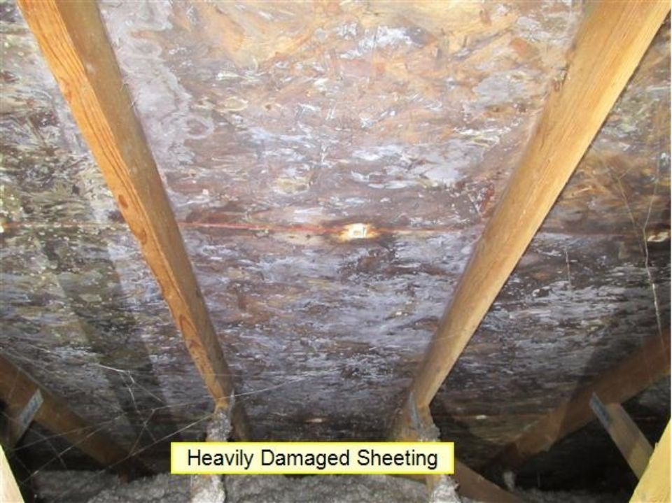 Ashco Home Inspections photos