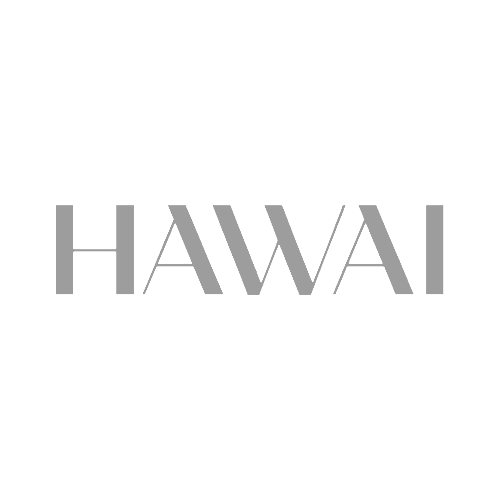 HAWAI FILMS & Scatto Digital Solutions & Digital Tech & Rental Digital Madrid Spain