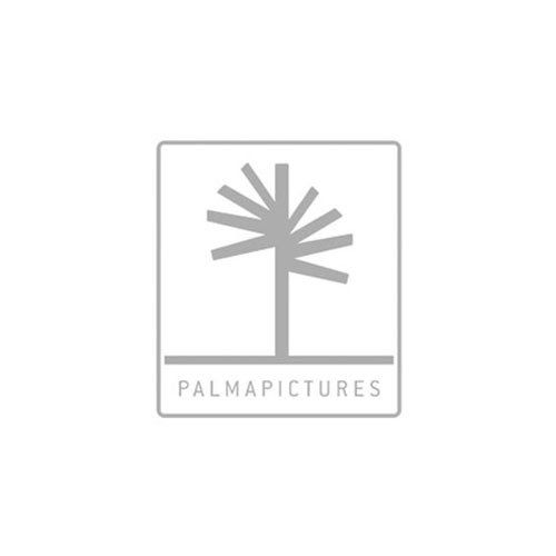 PALMA PICTURES & Scatto Digital Solutions & Digital Tech & Rental Digital Madrid Spain