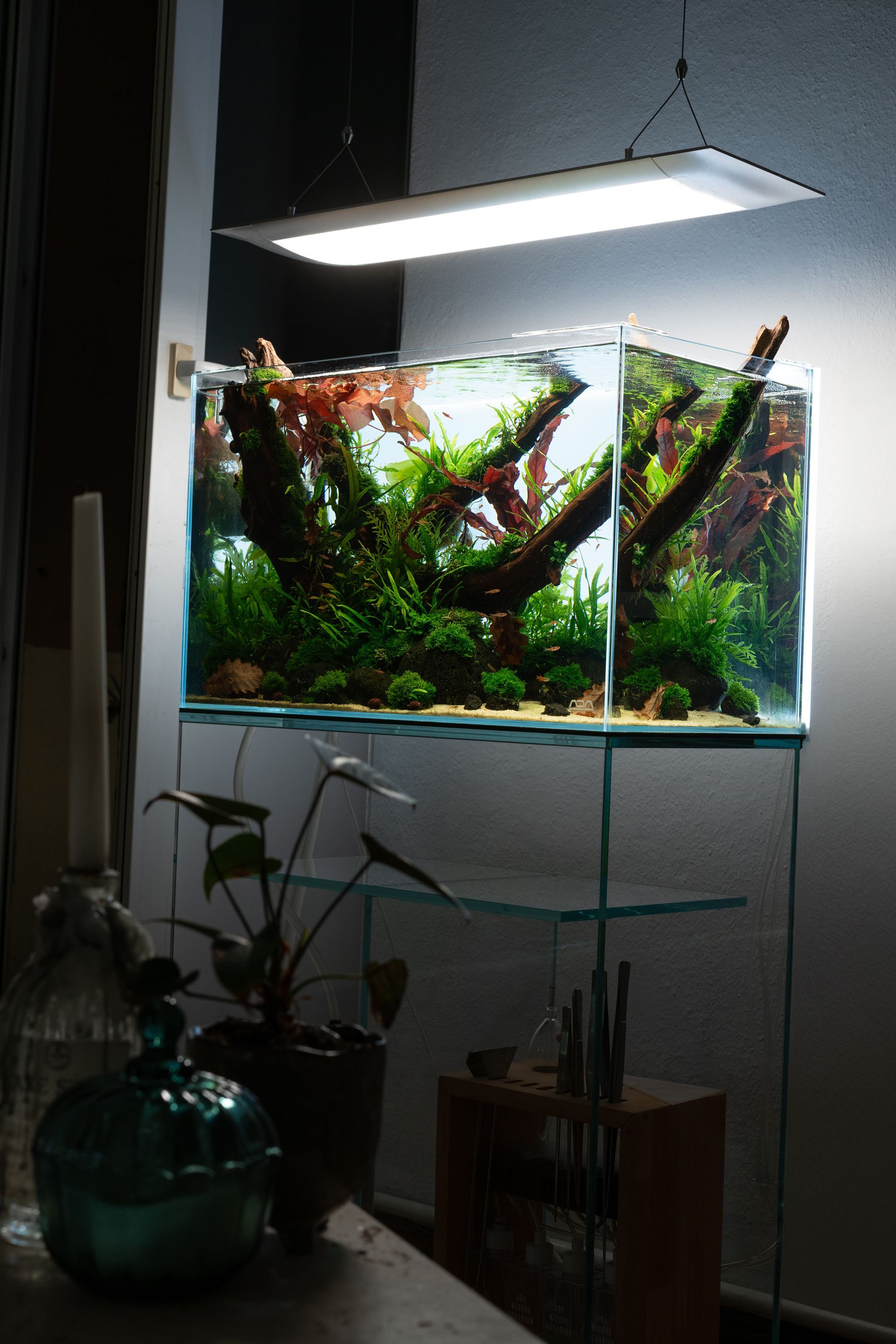 Aquarium Design Berlin Büro Office Praxis