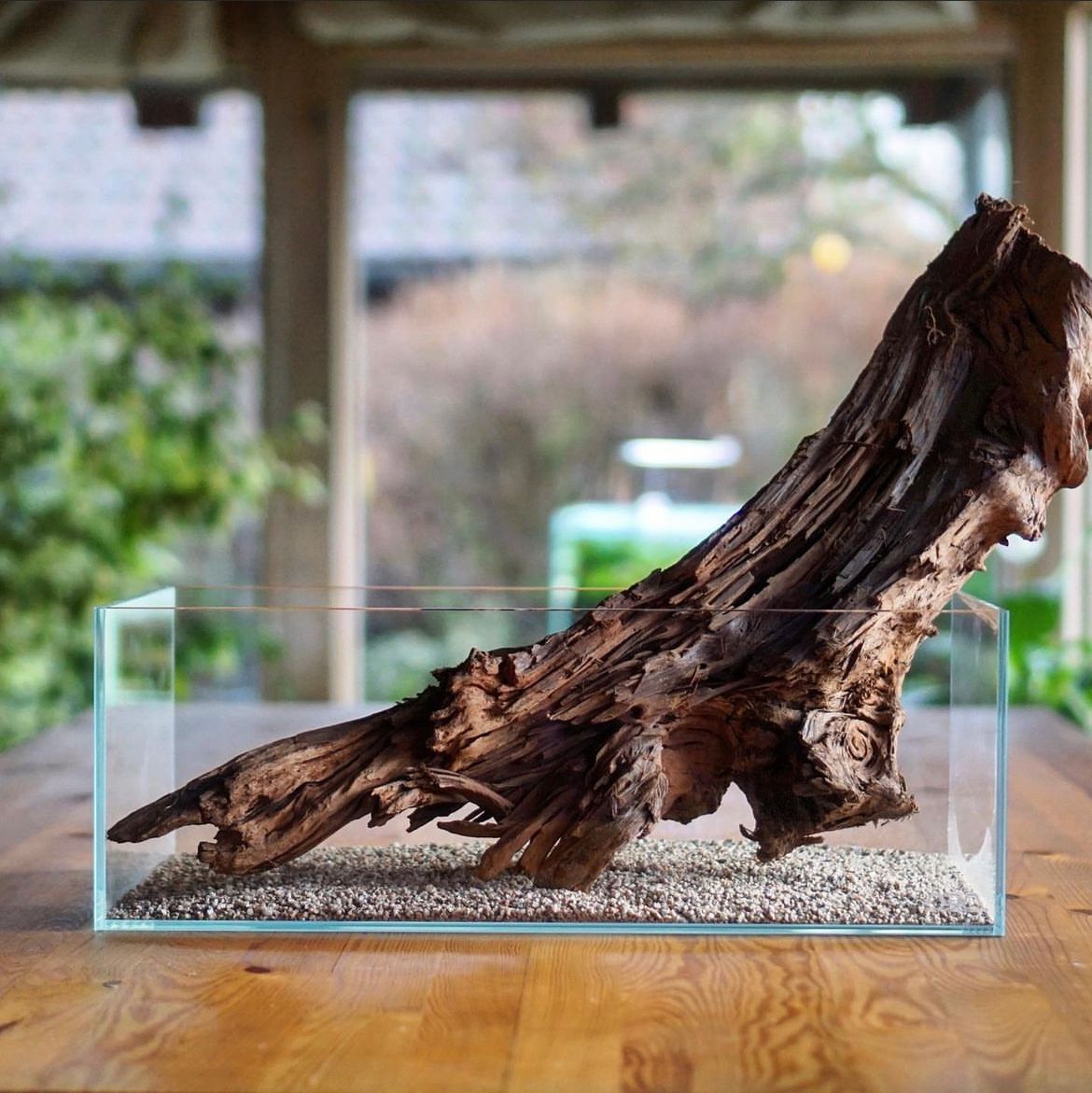 Aquarium Design Einrichtung Berlin Büro Office Praxis