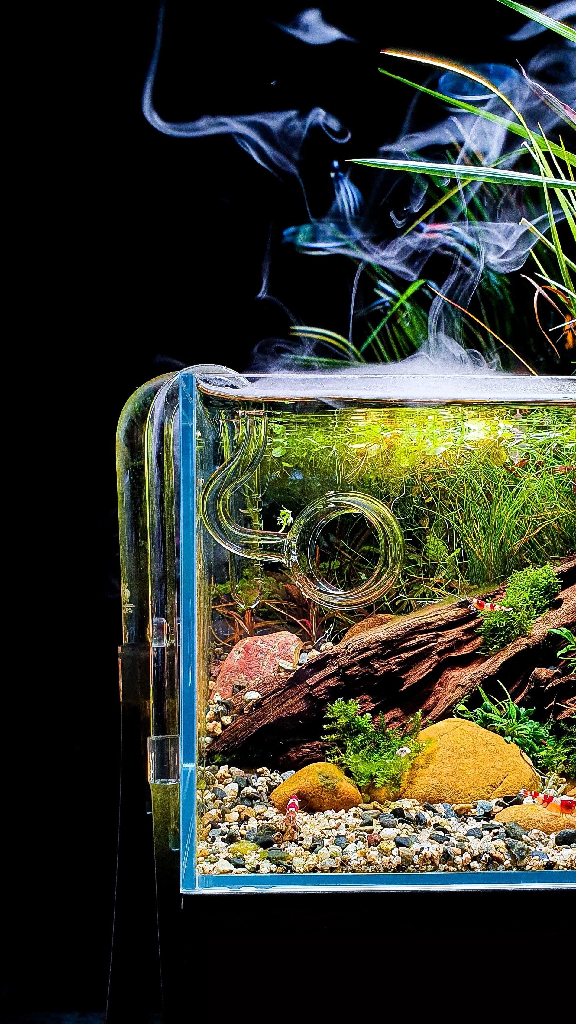 Aquarium Design Einrichtung Berlin Büro Office Praxis