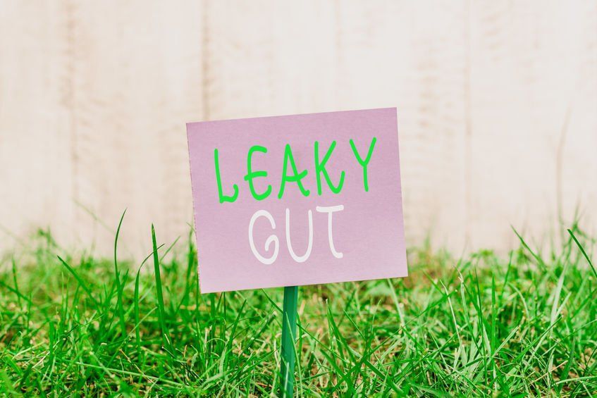 Leaky gut, der durchlässige Darm