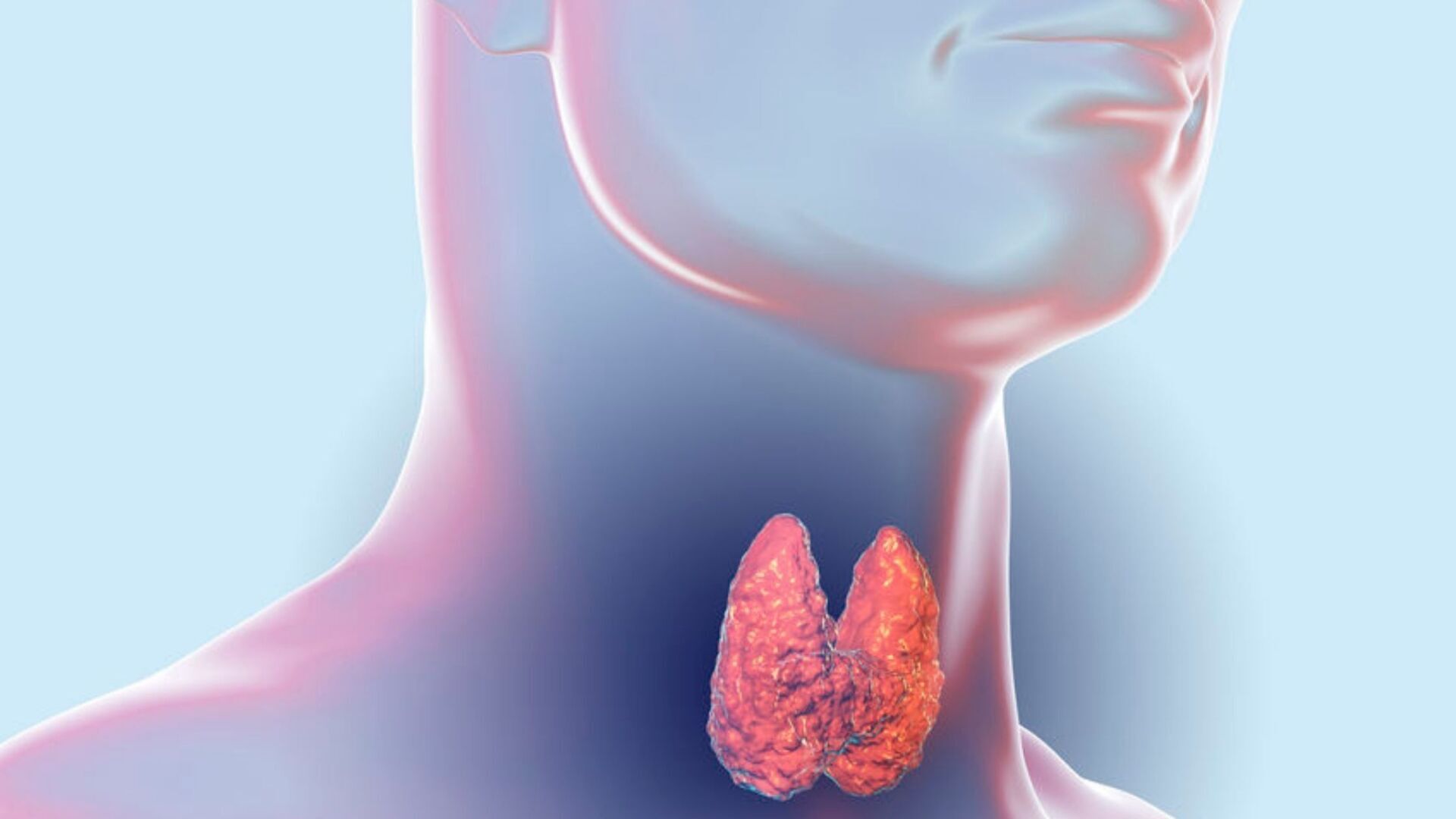 Erkrankungen der Schilddrüse