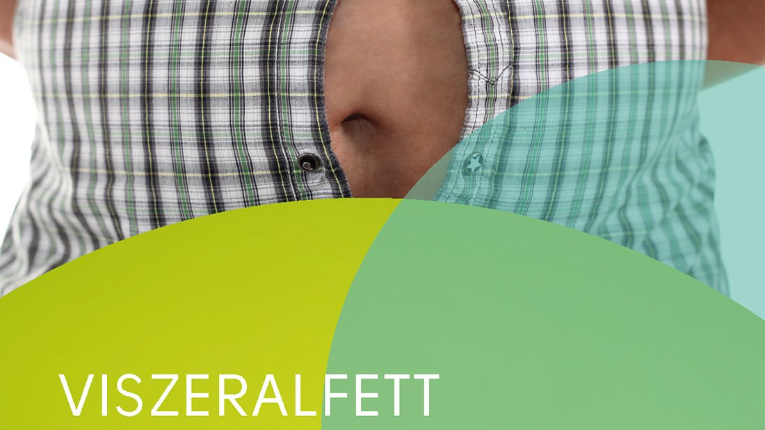 Viszeralfett, das innere Bauchfett