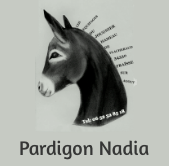 Pardigon-Nadia-logo