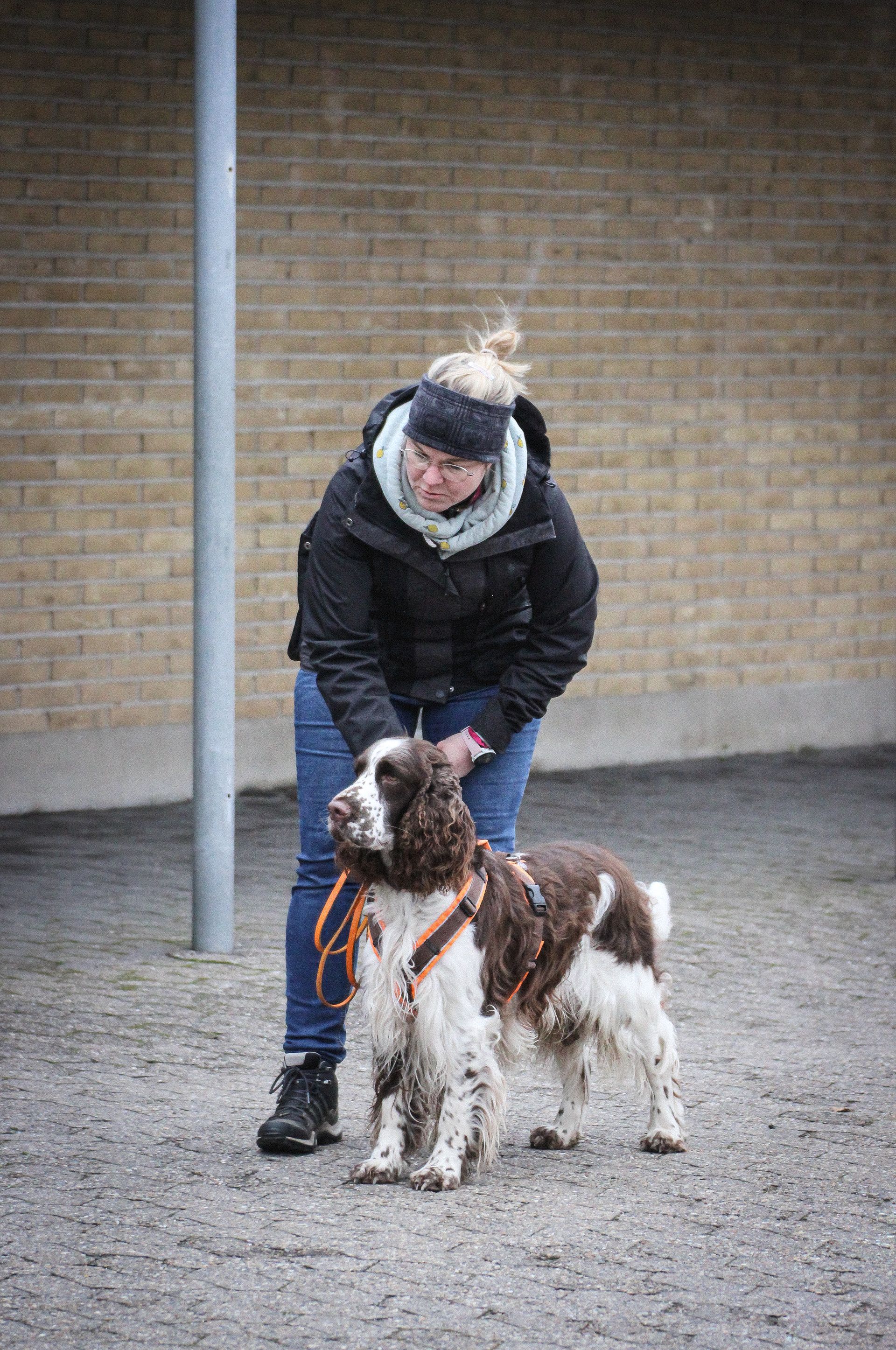 Fokus auf die Aufgabe
