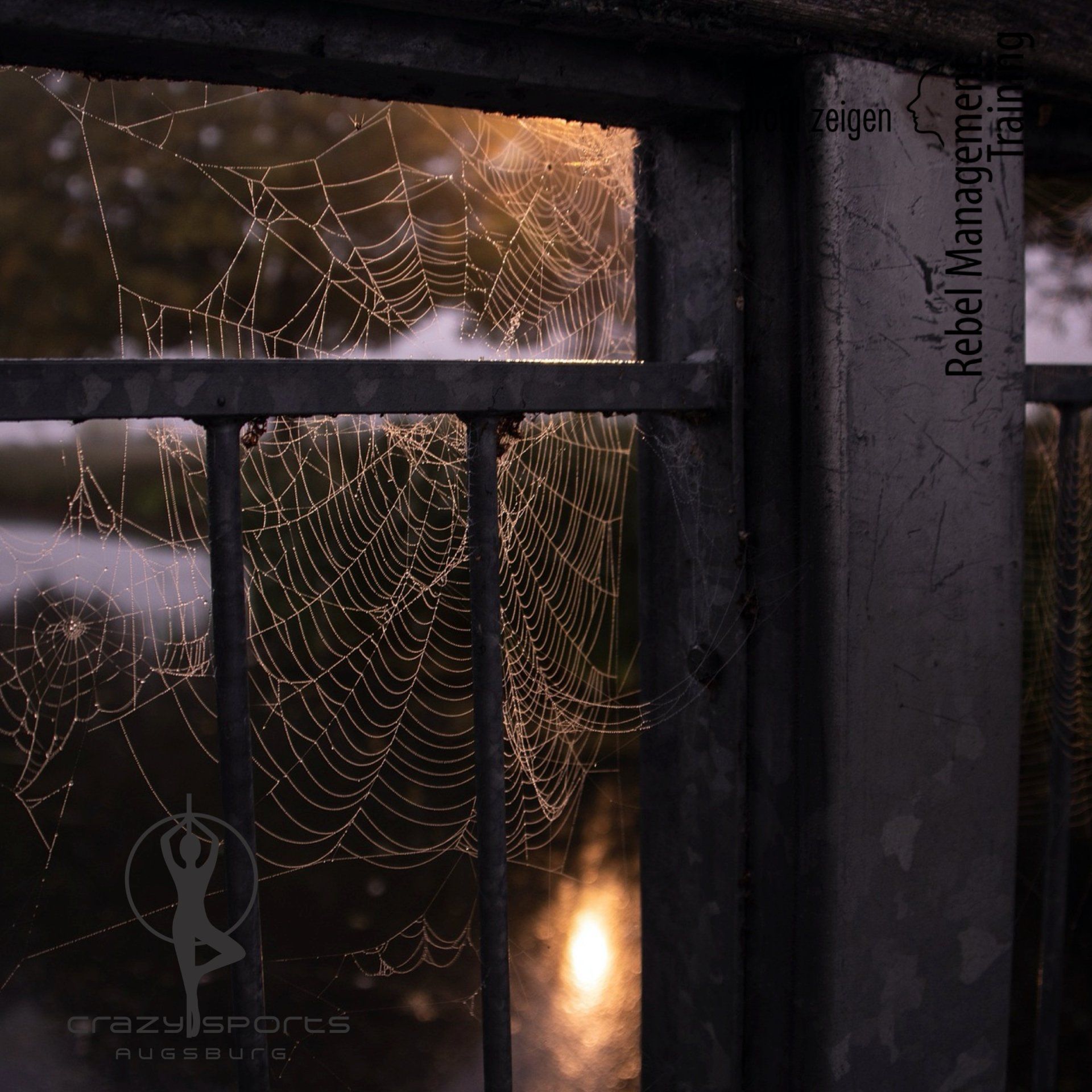 Spinnweben in einem alten Fenster, dahinter Licht