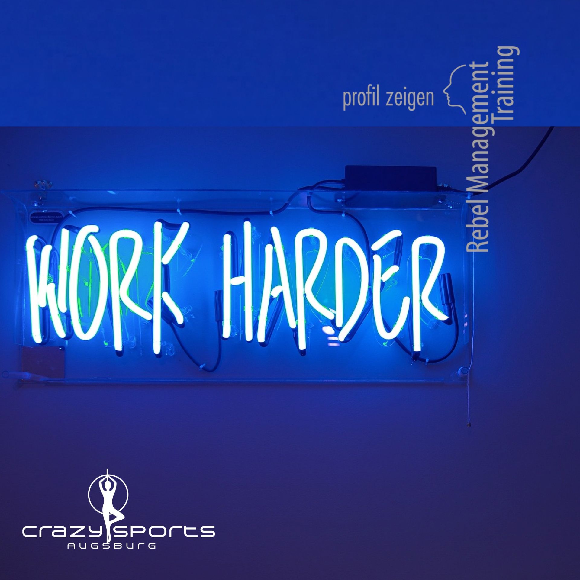Leuchtender Schriftzug Work Harder