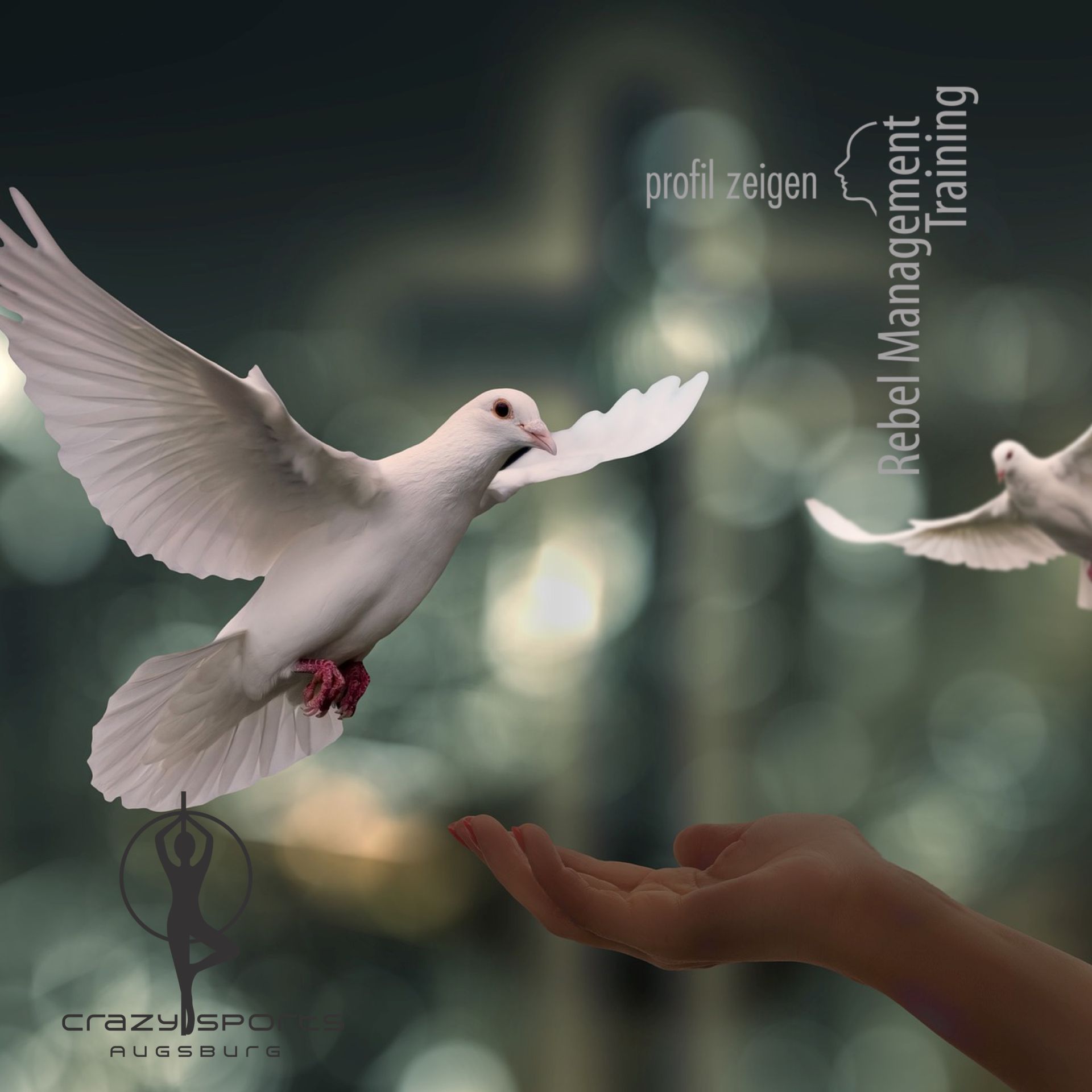 2 Friedenstauben und eine ausgestreckte Hand