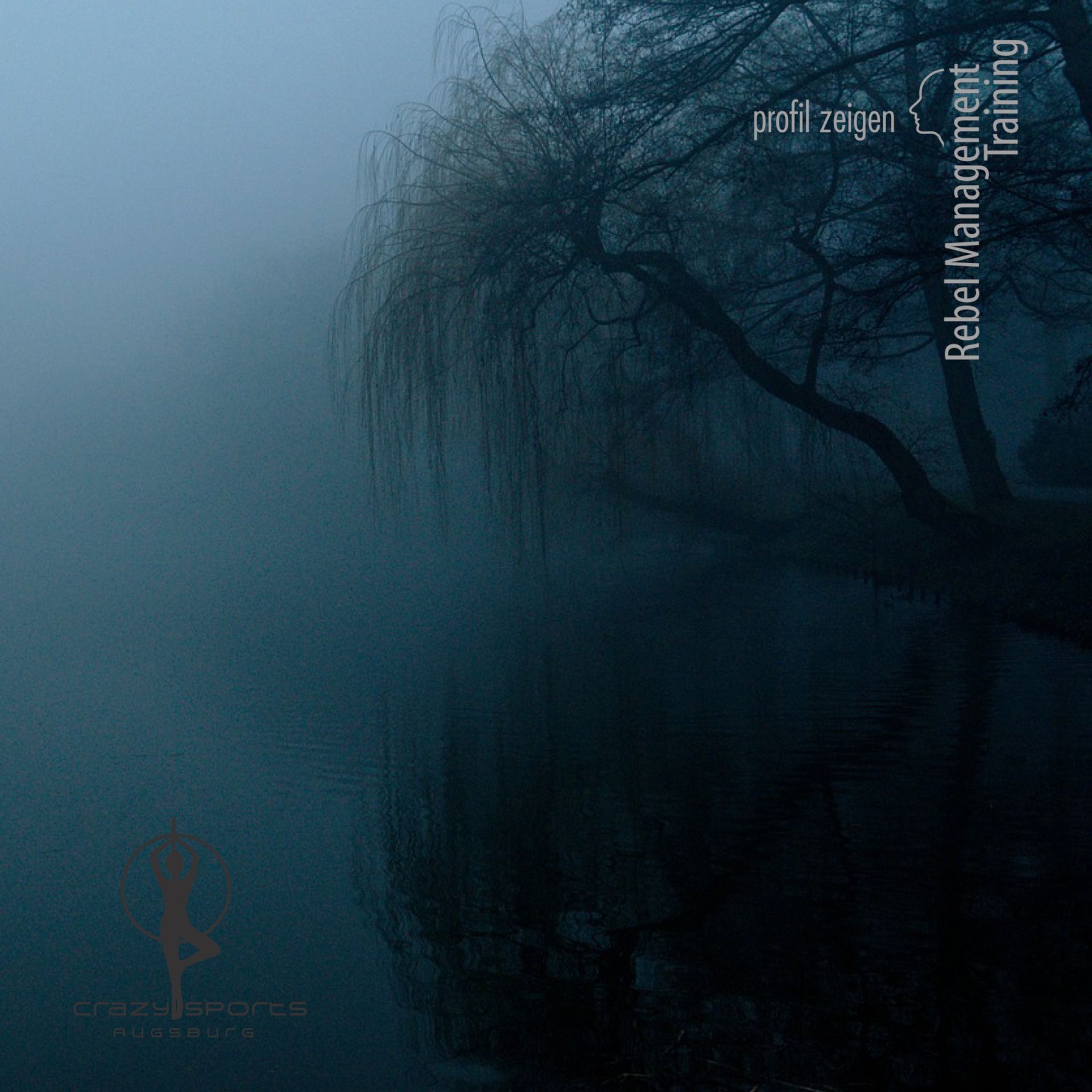 Nebel, Trauerweide, Dunkelheit