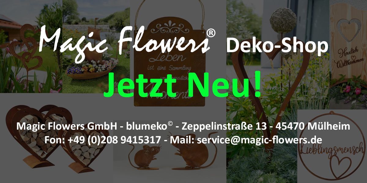 Link zu unserem Deko-Shop