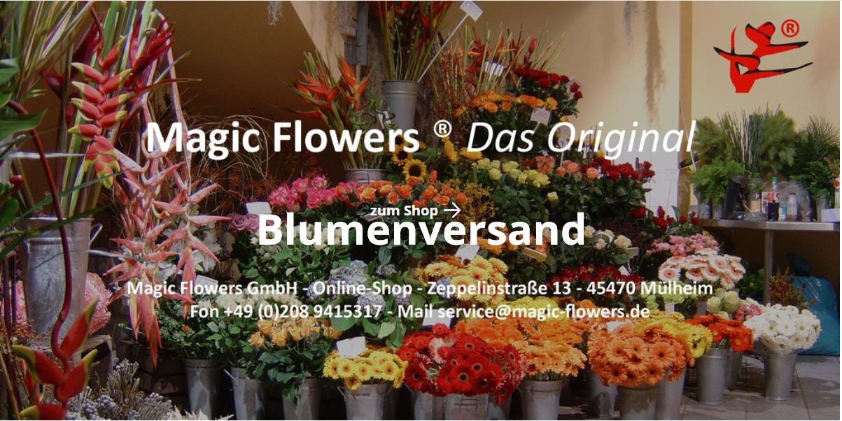Link zu unserem Blumenshop Screenshot Magic Flowers Online-Shop