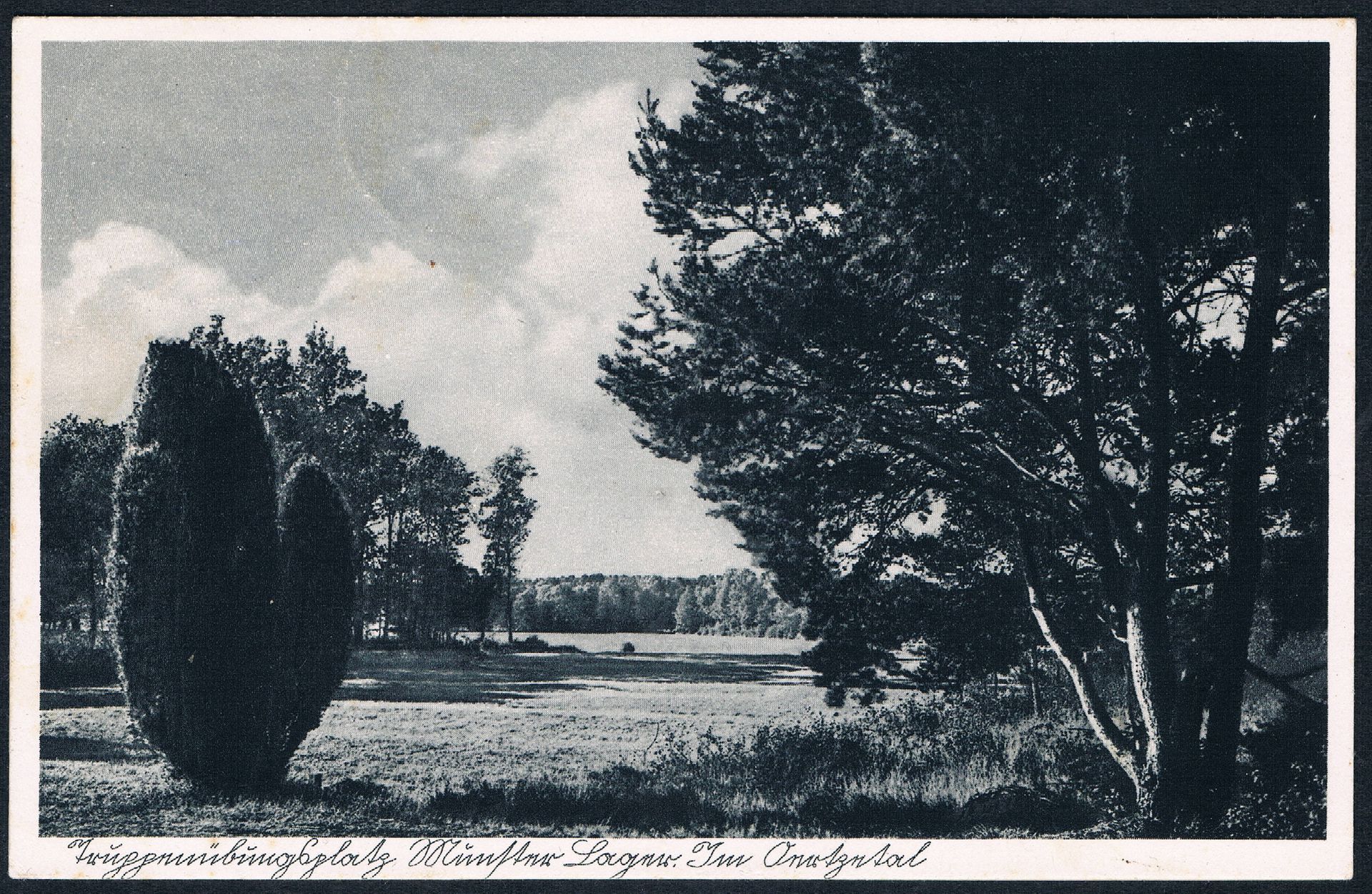 1938 Truppenübungsplatz Munster Heidelandschaft