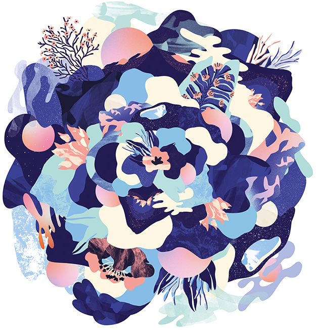 Illustration ONA