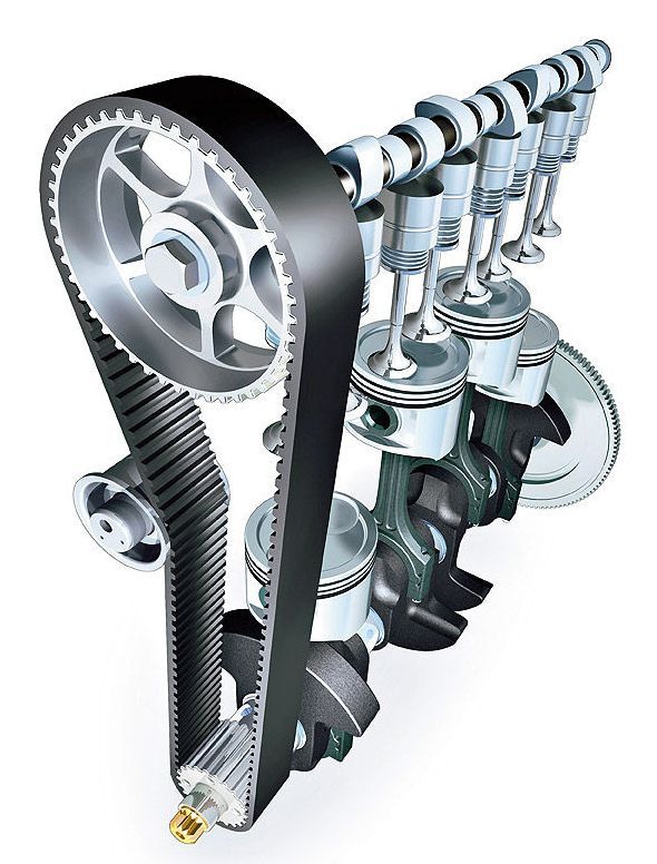 Zahnriemen Zahnriemen