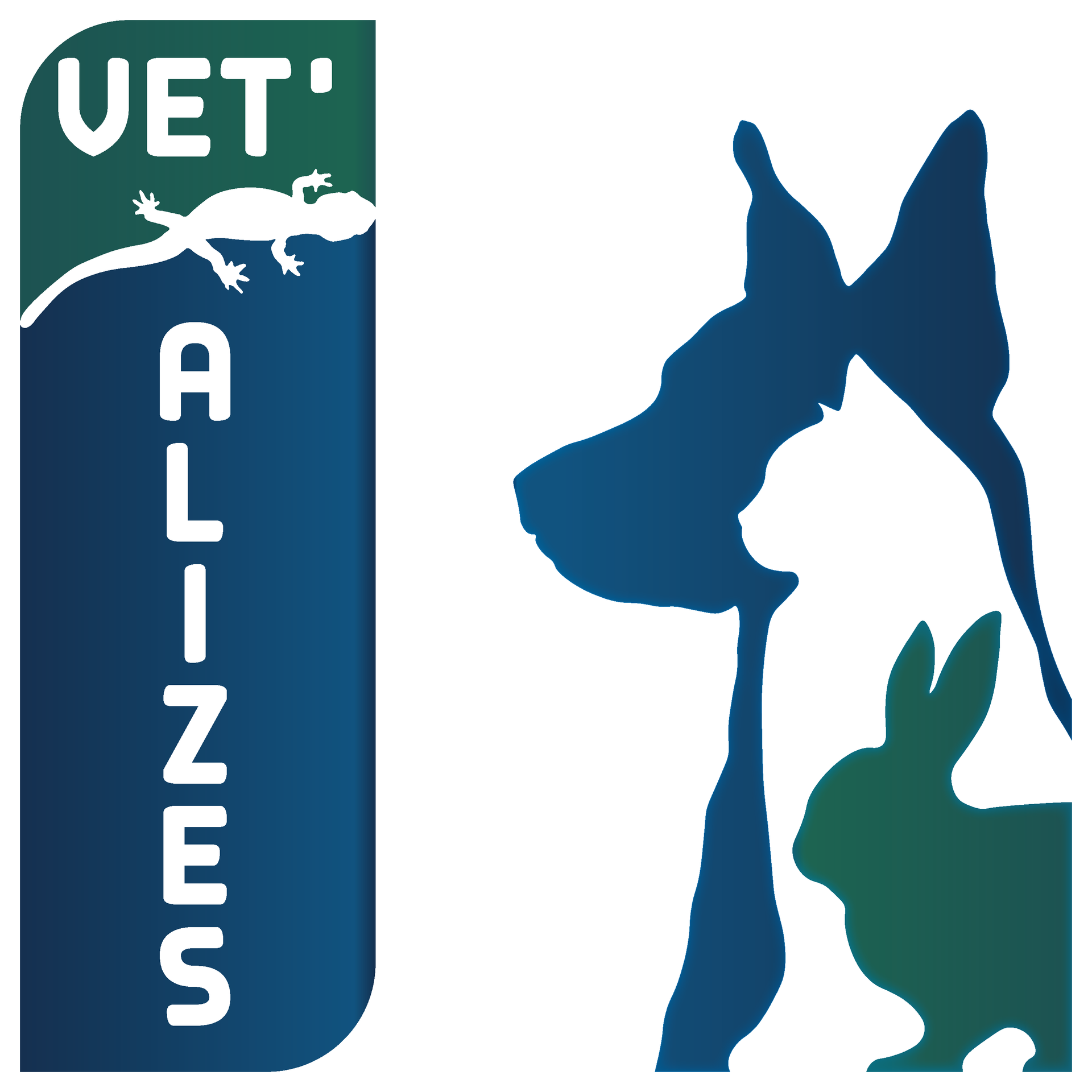 Logo officiel Logo officiel Vetalizes