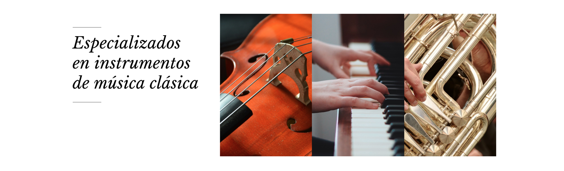 Especializados en instrumentos de música clásica