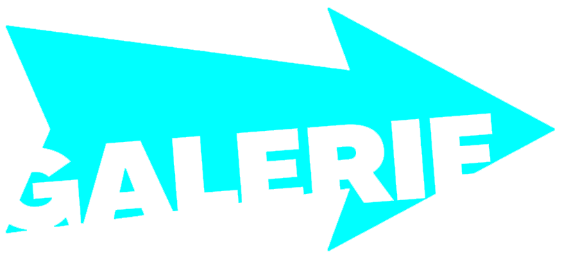 zur Bildergalerie zur Bildergalerie