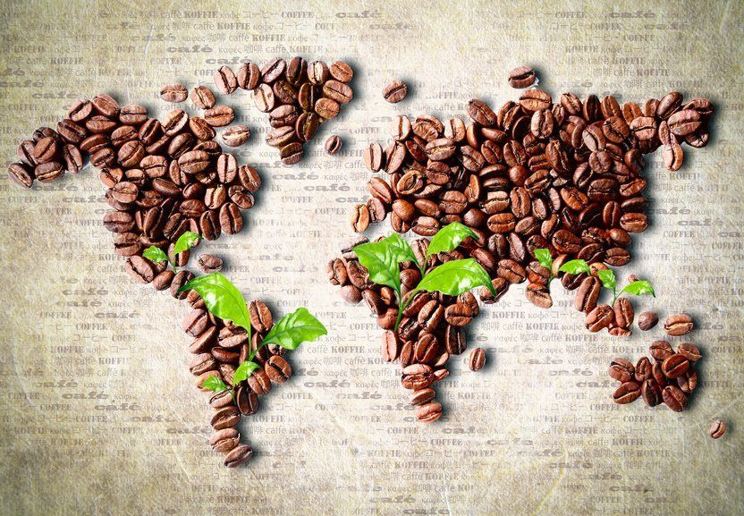 Moka Premium Fresh Coffee