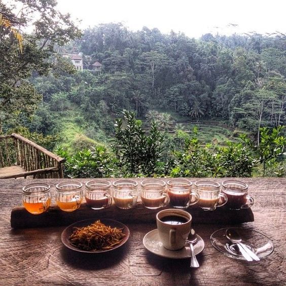 Moka Premium Fresh Coffee