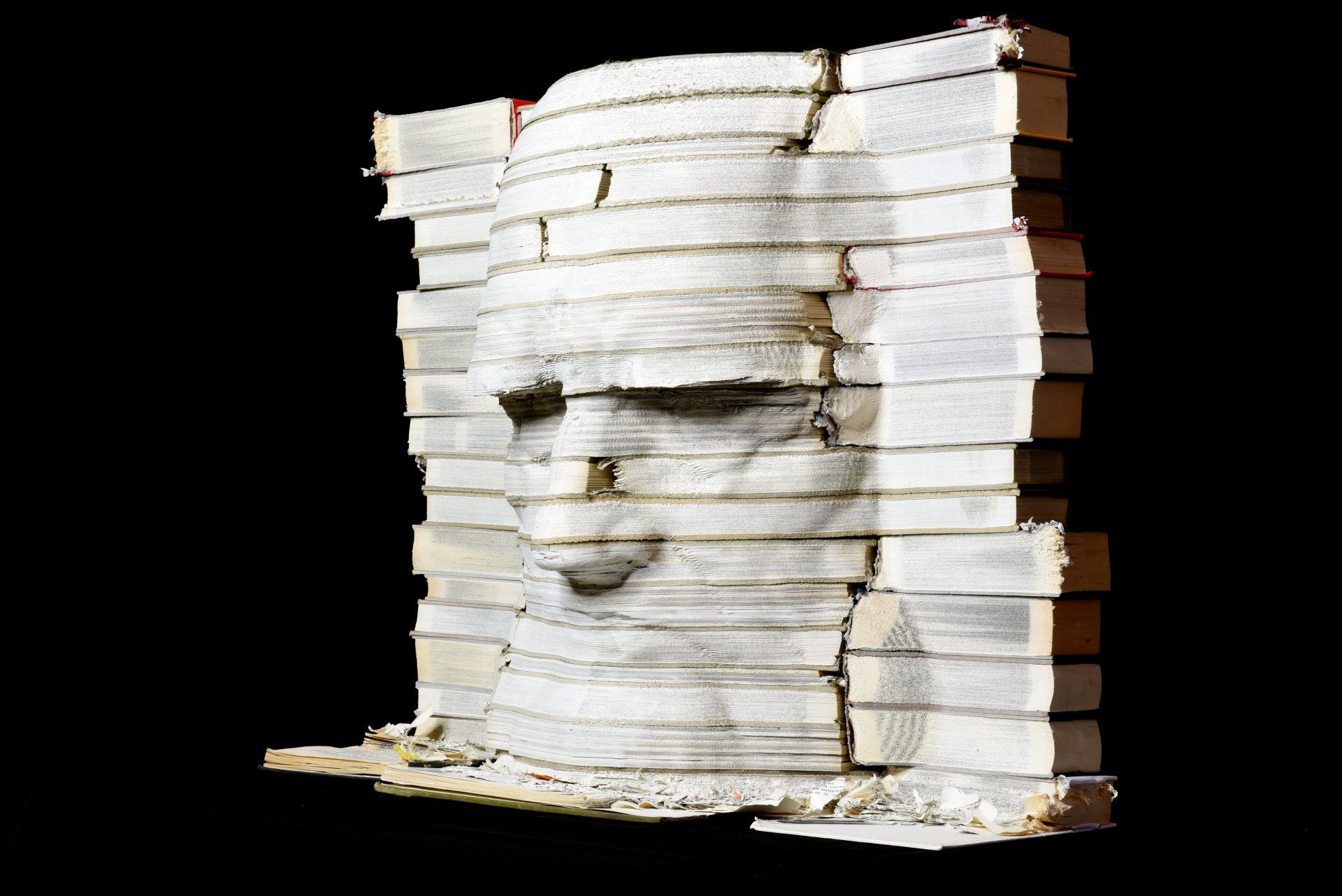 La Biblioteca di Leonardo, scultura di Eleonora Francioni e Antonio Mastromarino, scultori a Pietrasanta. Opera realizzata con libri raffigurante Leonardo Da Vinci