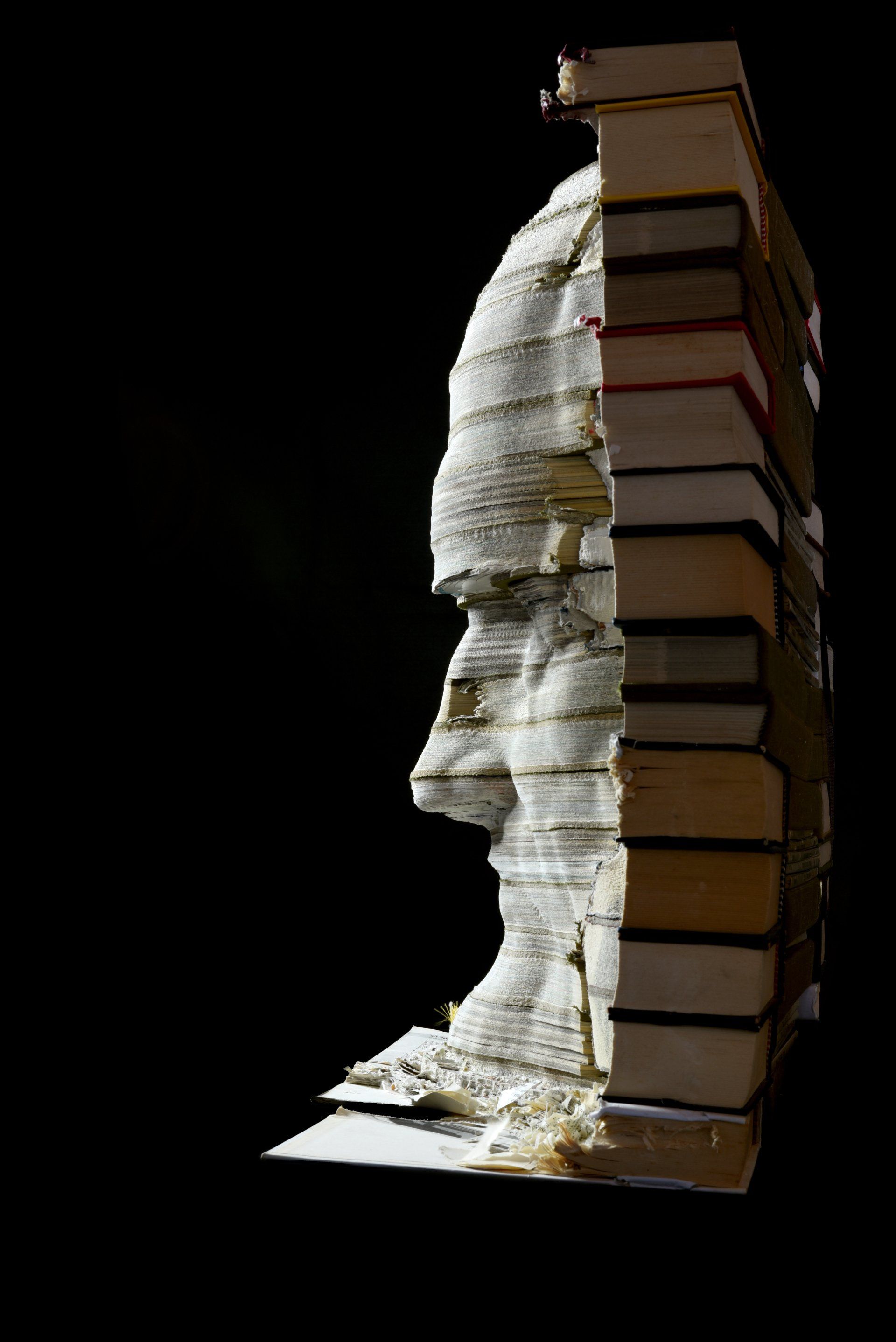 La Biblioteca di Leonardo, scultura di Eleonora Francioni e Antonio Mastromarino, scultori a Pietrasanta. Opera realizzata con libri raffigurante Leonardo Da Vinci