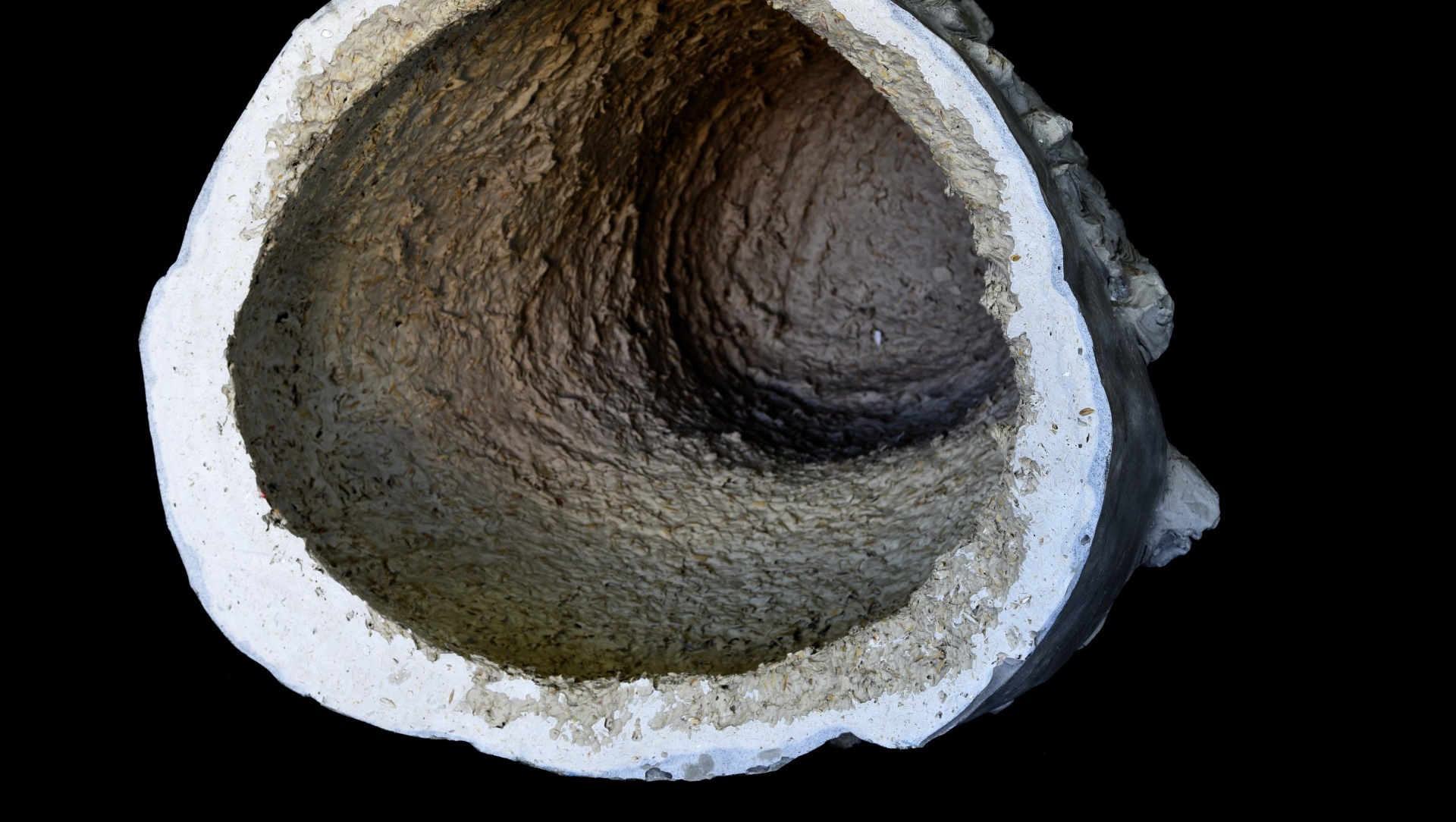 Leonardo Da Vinci, scultura di Eleonora Francioni e Antonio Mastromarino, scultori a Pietrasanta. Arte sostenibile