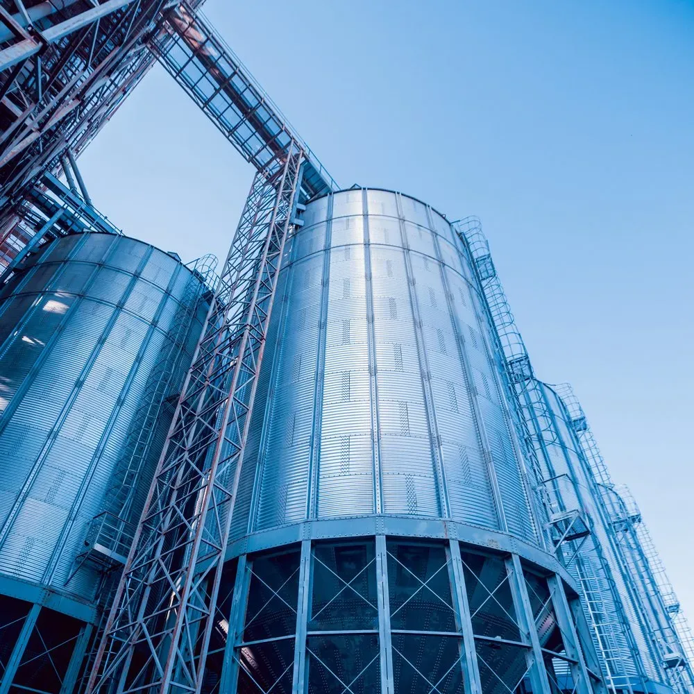 Siloinspektion / Siloreinigung