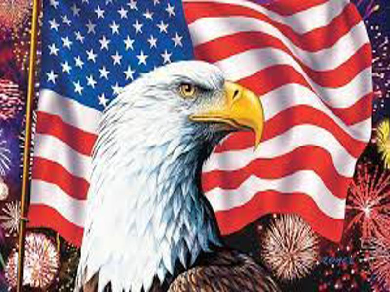 Memorial Day barbecue American Flag and Eagle