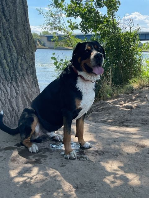 Treue Seele Werden Sie Tippgeber. Für jede Empfehlung, die zu einem Auftrag führt, erhalten Sie ein tolles Honorar