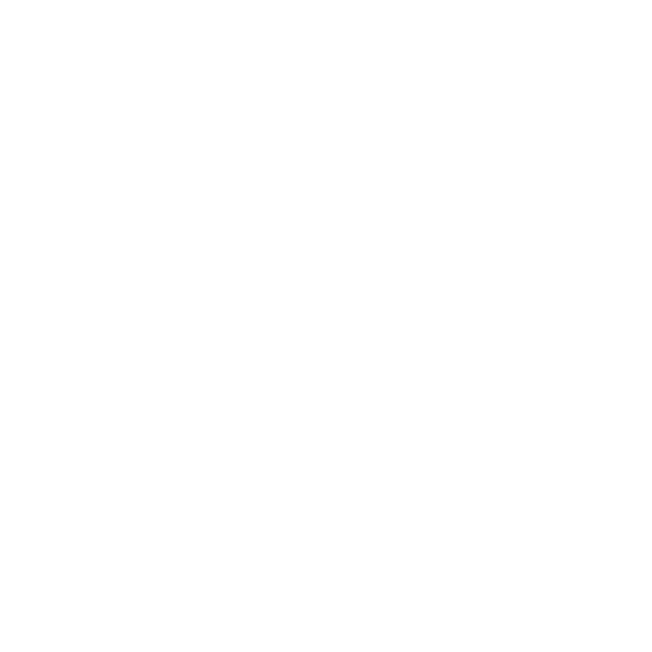 Salt and Pepper Consulting