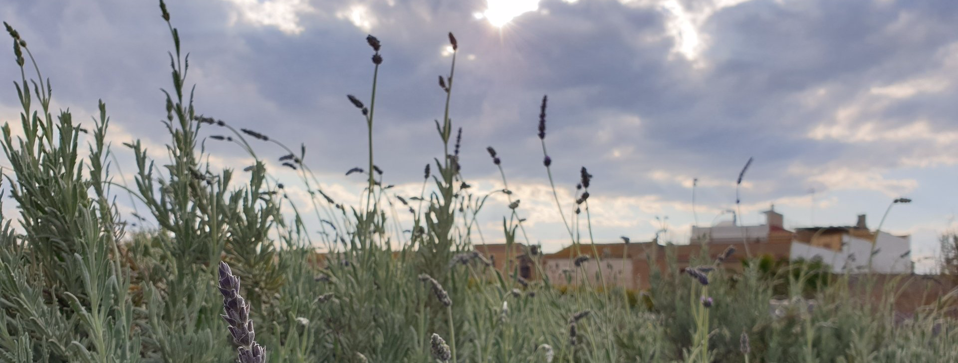 Huerta restaurante Napicol