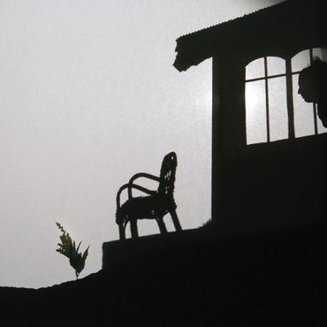 Blauwasserwal Blauwasserwal