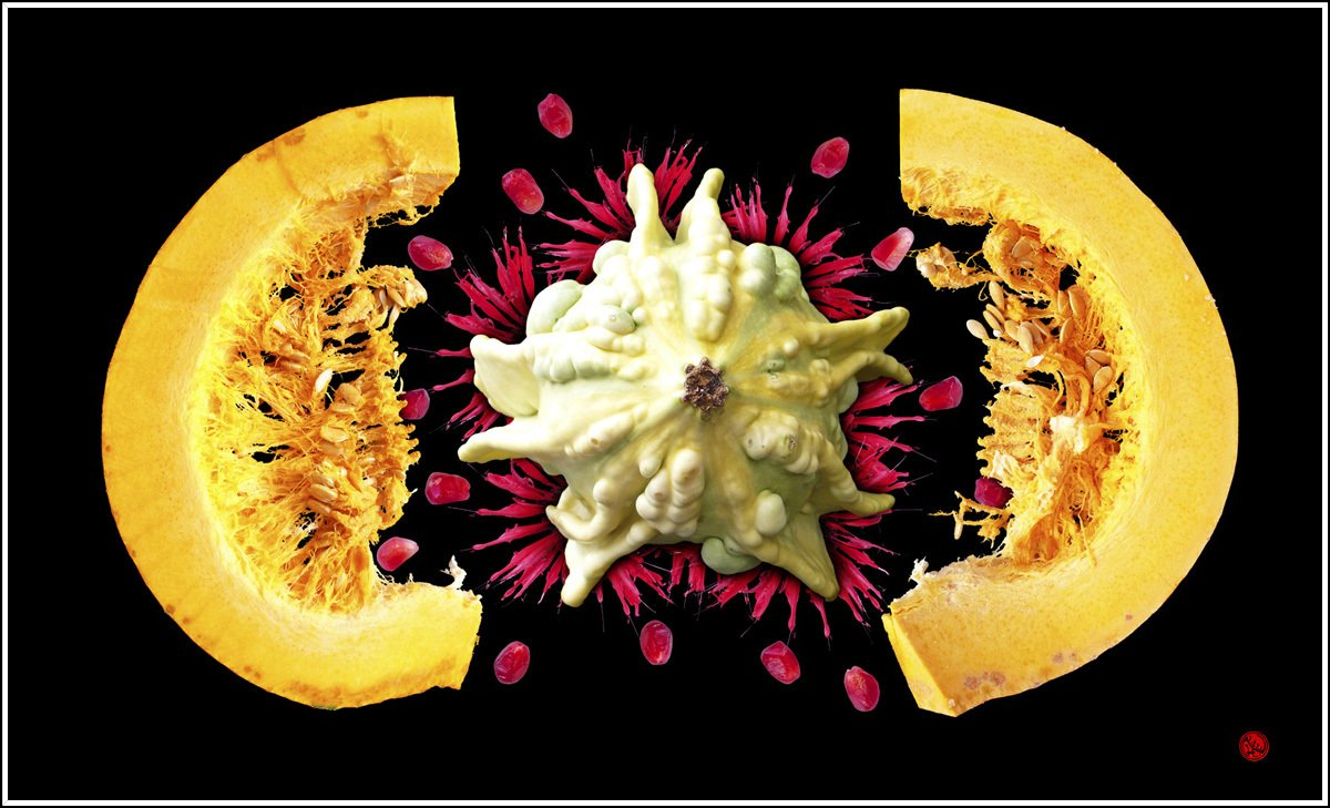 Kürbis Zierkürbis Granatapfelkerne