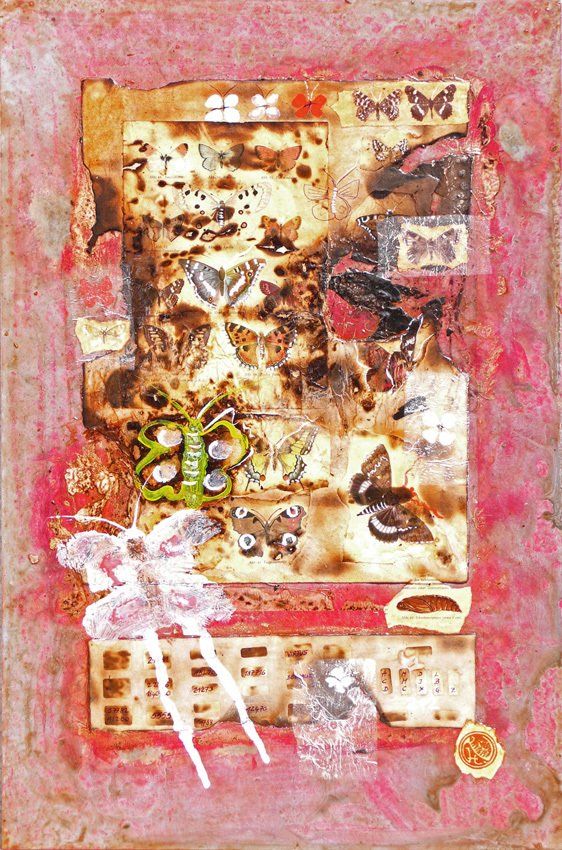 Schmetterlinge Larven Insekten Stempel