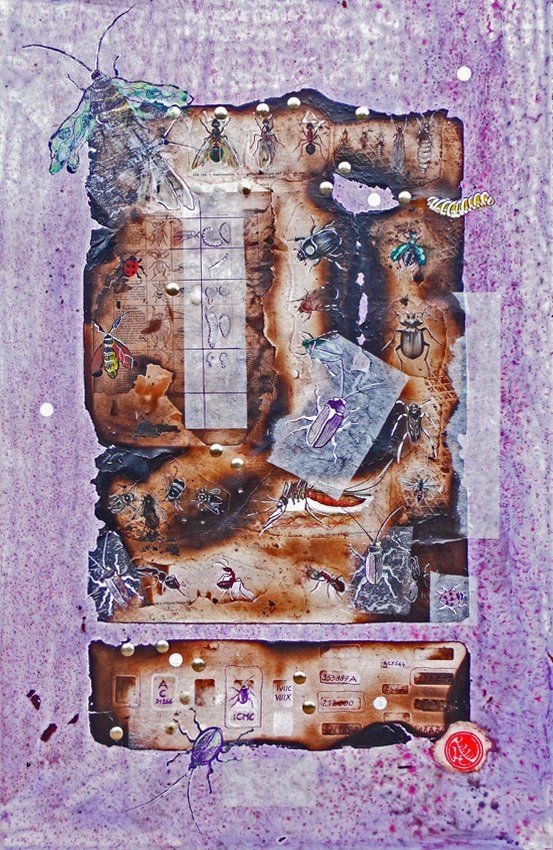 Motten Würmer Maden Käfer Insekten Stempel Seidenpapier Reißzwecken