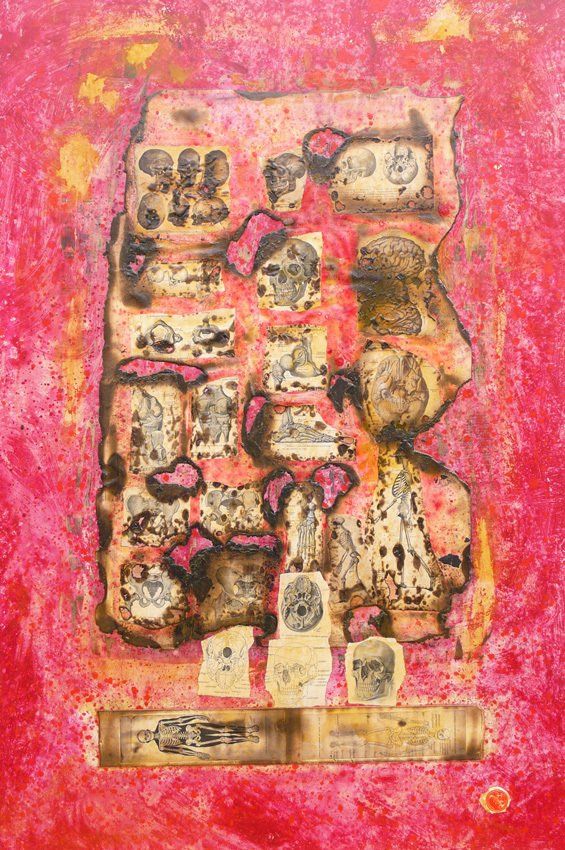 Menschliche Schädel Skelett Knochen Anatomie