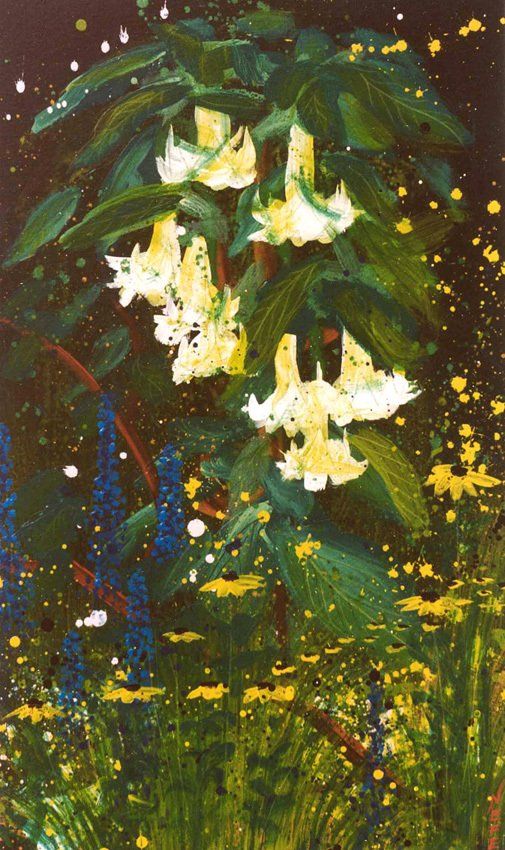 Engelstrompeten, Blüten, Strauch