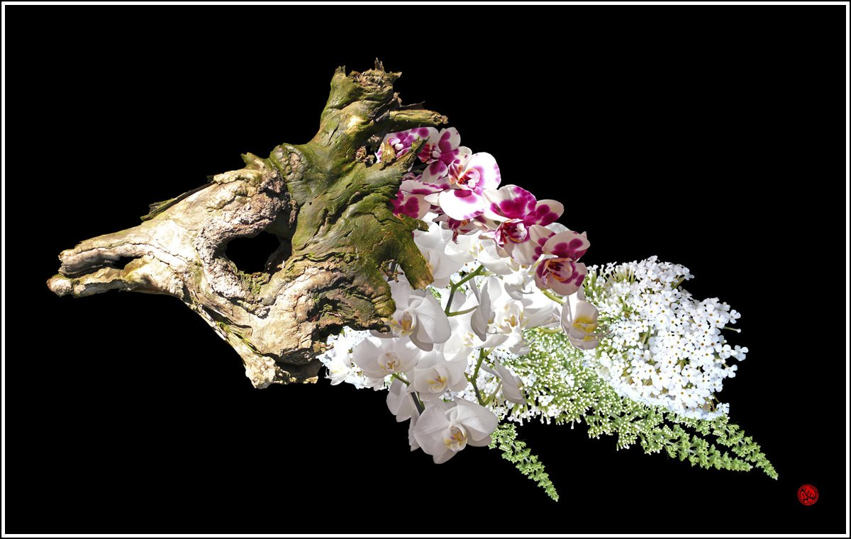 Wurzelstock Blüten und Farn