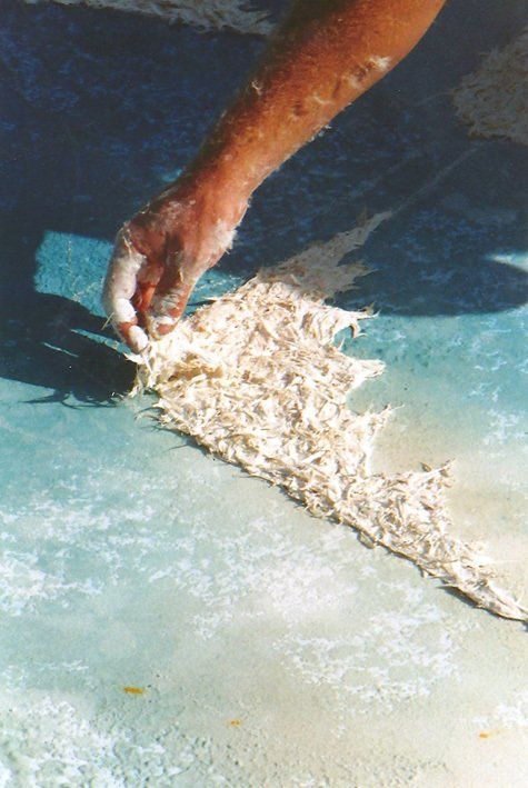 Hand und Unterarm Federn