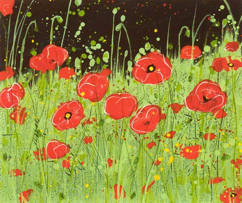 Klatschmohn