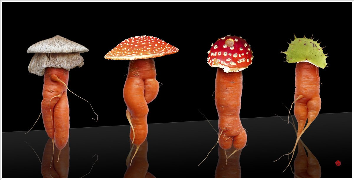 Gelbe Rüben mit Pilzköpfen