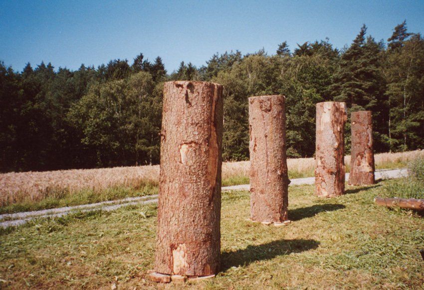 Vier Baumstämme auf einer Waldwiese