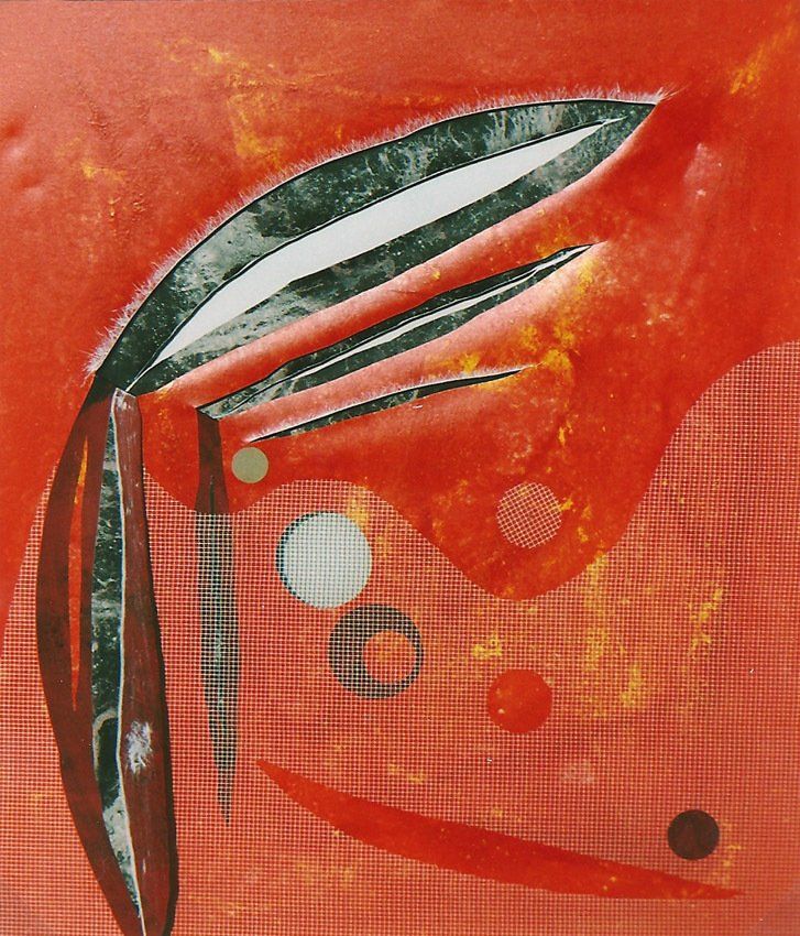 schwarze Fruchthülse und Samen auf rotem Grund